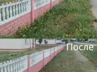 Покос травы/бурьяна/кустов Волковыск и пригород, фотография 3