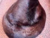 Шапка норковая женская