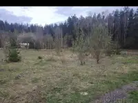 Участок в садовом товариществе Зодиак-Ворот, фотография 7