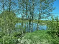 Дом,участок, Могилевский район,д. Азаровка, фотография 9