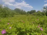 Недвижимость, Узденский район, ст.Жилищник