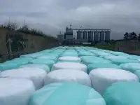 Сено злаковых трав в рулонах в стрейч пленке
