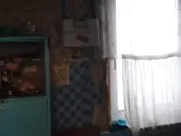 Продаётся дом в г. Ветка ул луговая., фотография 6