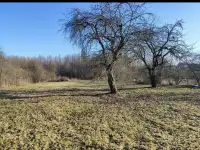 Дом, дача, фотография 4