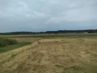 Участок в живописном месте Столбцовский район Брестское направление, фотография 9