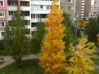 Сдам комнату  Горецкого 19, фотография 4