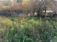 Участок с домом под снос или кап ремонт, П-д свердловский 3-ий, фотография 2