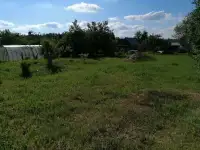 Дачный участок, фотография 3