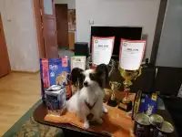 Продам