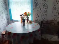 Дом, д. Малая Лапеница, фотография 3