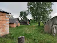 Продается два дома, Брестская область, район, Красная Воля, фотография 9