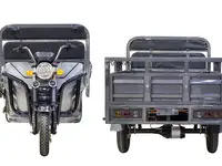 Грузовой электротрицикл rutrike d4 next ii 60v1500w, фотография 5