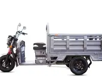 Грузовой электротрицикл rutrike антей-у 1500 60v1200w, фотография 12