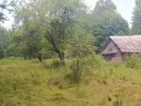 Срочно продаётся дом, Могилёвская область, Быховский район, дер. Новобоярщина, фотография 3