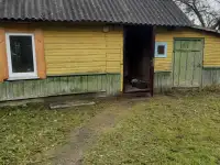 Дом в д.Манчицы Гродненской области. Тихое место., фотография 3