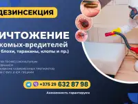 Дезинсекция