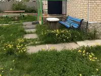 Дом в аг.Крупец, Добрушский район, фотография 2