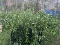 Каркас для куста, фотография 1