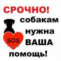 Собакам из Отлова БМПЗ нужна Ваша помощь!, фотография 3