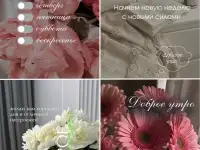 Дизайн открыток, визиток, пригласительных, карточек для МП, фотография 3