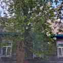 Продаётся дом, Гагарина 60, фотография 1