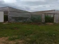 Сельское хозяйства с домом и хоз. постройками и овощехранилищем, фотография 4