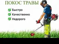 Пакос травы
