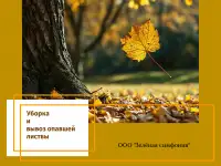 Уборка и вывоз листвы под ключ  ООО Зелёная симфония