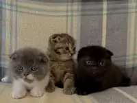З, фотография 3