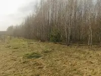 Дом д.Белановичи 20соток, фотография 2