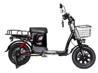 Электровелосипед smartbalance master pro 21 ah (2025), фотография 7