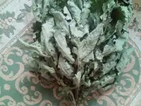 Веник банный, фотография 2