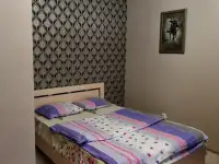 1-комнатная квартира на сутки, Витебск, ул. Петруся Бровки, д. 1-1, фотография 2