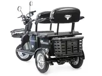 Трицикл rutrike караван, фотография 2