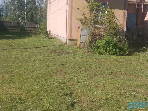 Продажа, Гомелькая обл, Буда-кошелевский район, д. РАДЕЕВО д10, фотография 3