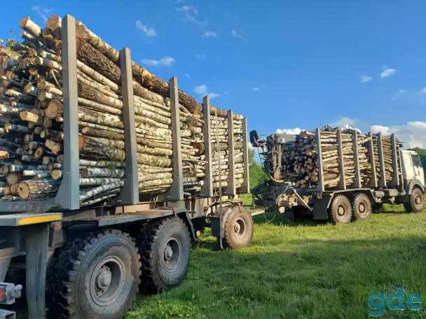 Дрова колотые., фотография 1