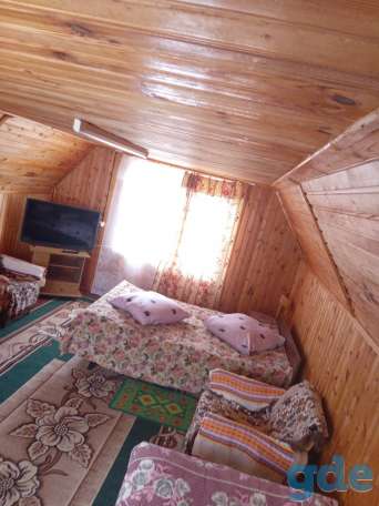 Отдых на Браславских озерах., фотография 4