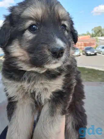 SOS, фотография 1