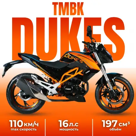 Мотоцикл TMBK Dukes, фотография 1