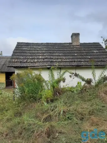 Дом в д.Манчицы Гродненской области. Тихое место., фотография 9