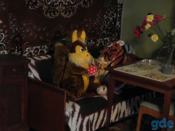 дом, фотография 5
