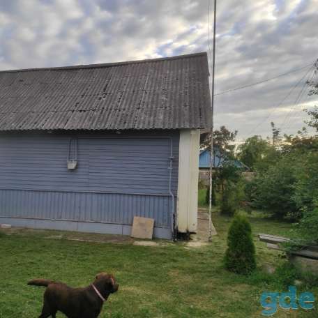 Продам дом в дер. Ужанка Несвижского района, 10 км от Несвижа. Дом 1этадный деревянный, общая 51кв.м., фотография 10