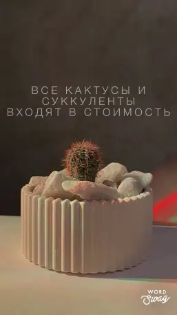 Растения, фотография 14