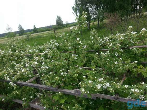 продам дом, Брестская 26, фотография 3