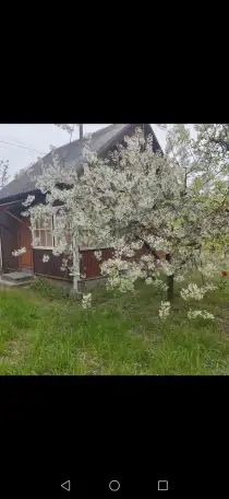 Продам дачу. д.Купятичи, ст Ясельда., фотография 1