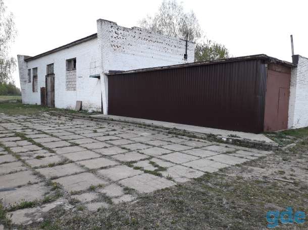 Здание в Аренду, обл., Белыничский район, д.Лямница, фотография 1