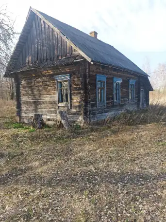 Дом д.Белановичи 20соток, фотография 1