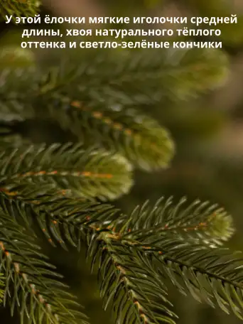 Премиум 100 Литая Елка искусственная новогодняя Люблинская есть много высот БОЛЬШЕ МОДЕЛЕЙ НА НАШЕМ САЙТЕ Imperium-elok, фотография 4