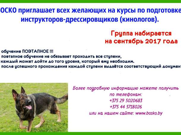 Курсы по подготовке кинологов, фотография 1