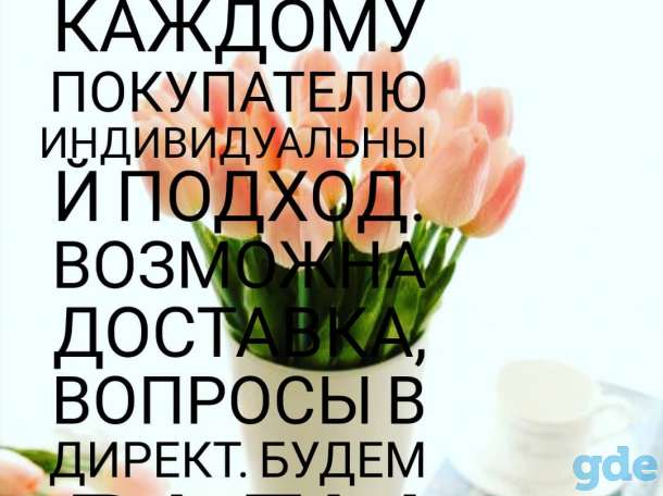 Тюльпаны, фотография 1